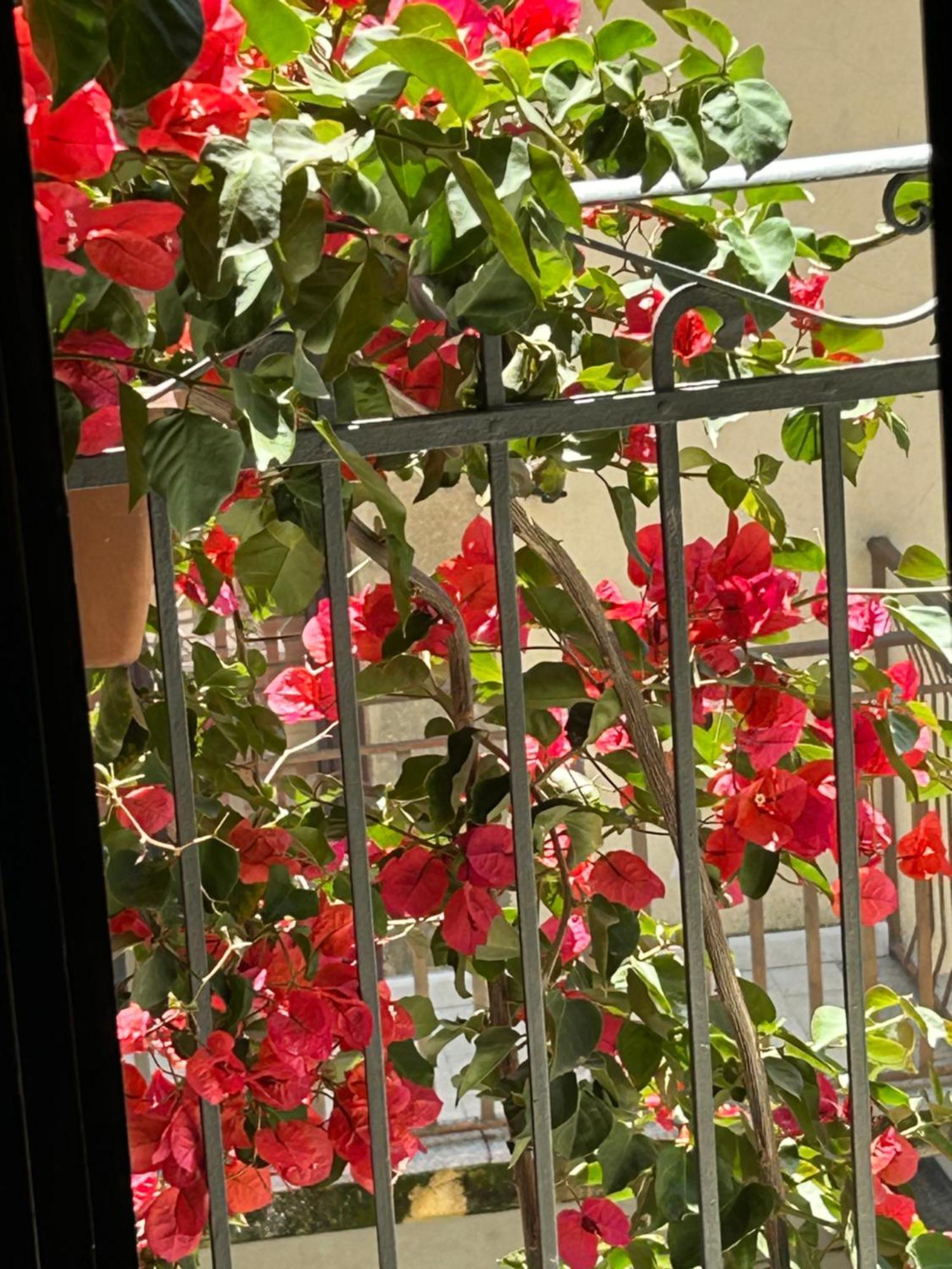 B&B L'Angolo Sulla Piazza Mirabella Imbaccari エクステリア 写真