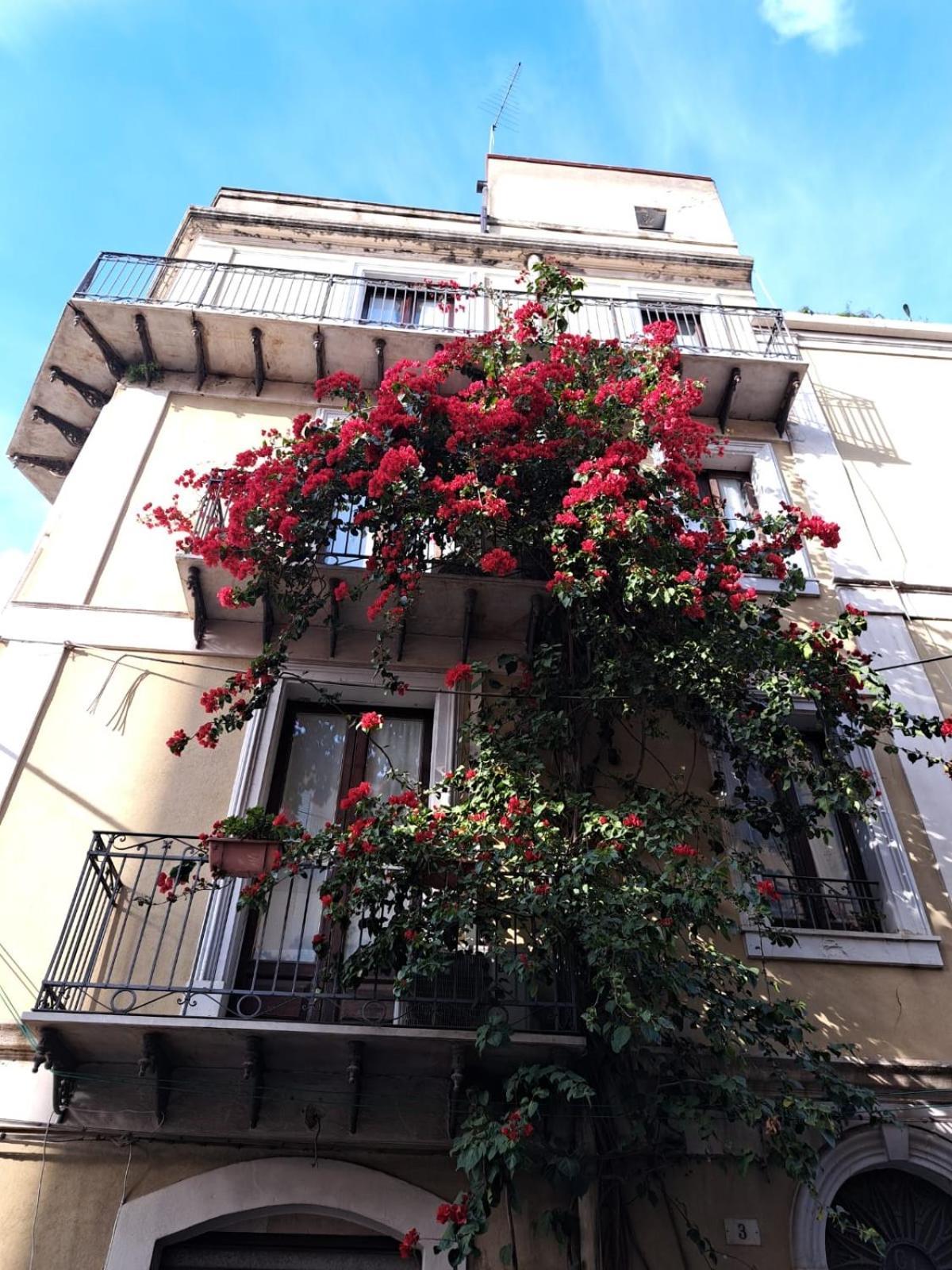 B&B L'Angolo Sulla Piazza Mirabella Imbaccari エクステリア 写真